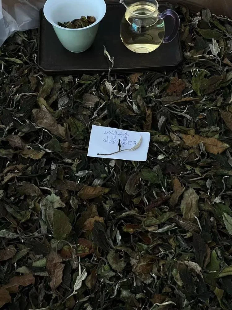 Large dry leaves with a pale cup, glass pitcher and handwritten white-tea card